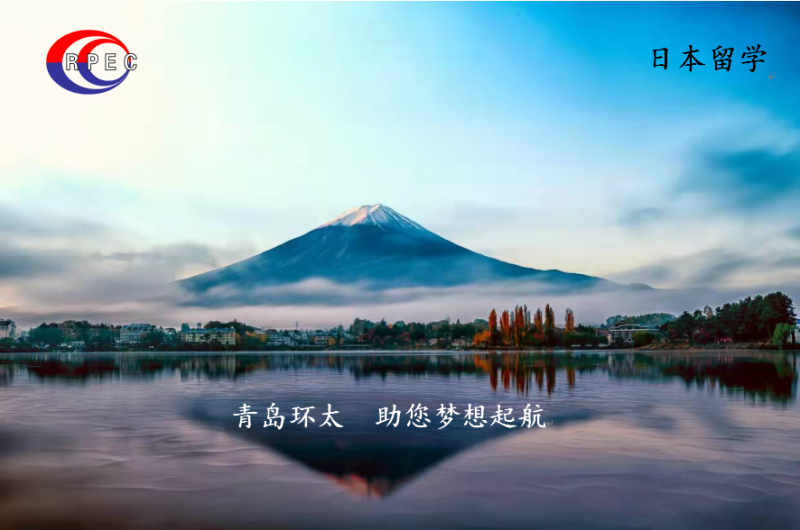 1-2310101H54B20 图片